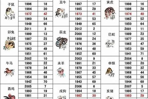 2027年五行属什么|2027年是什么年